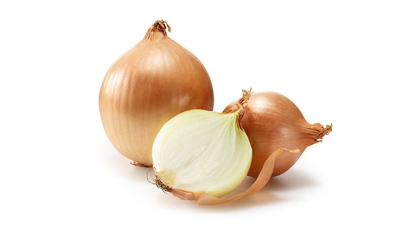 3. Cipolla