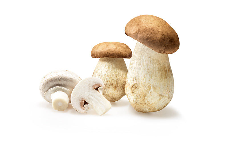 37. Porcini con Funghi